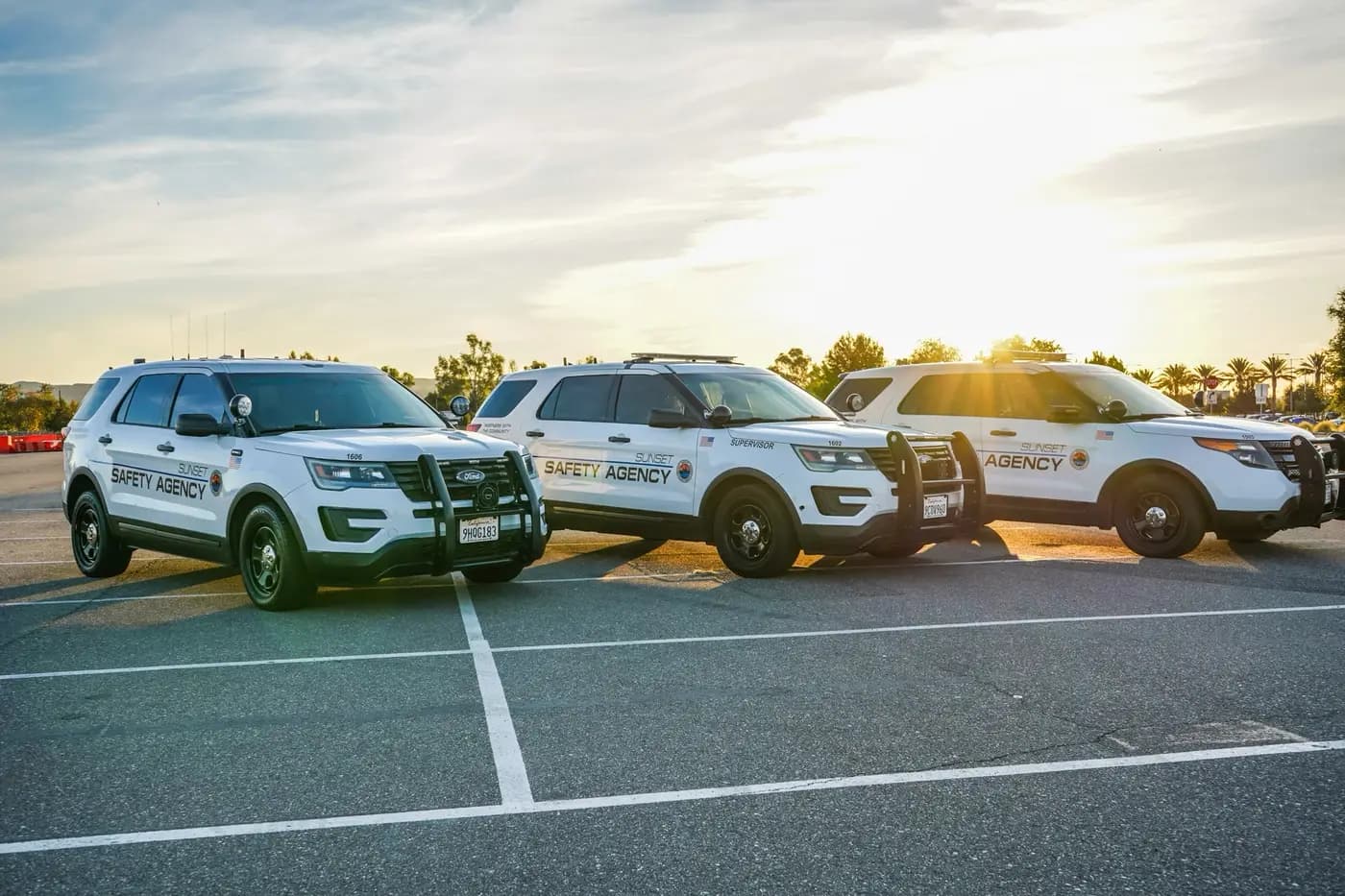 Three-unit patrol fleet parked in a sunlit row with late-day sun flare